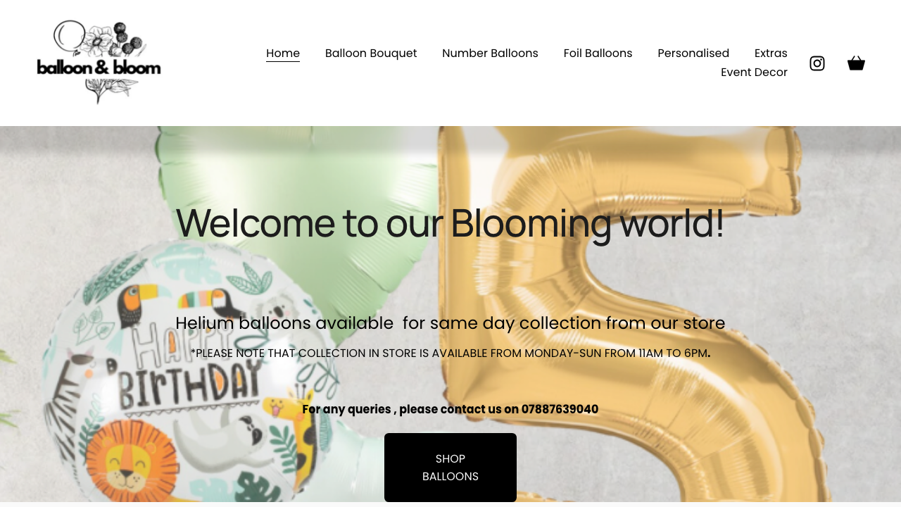 BALLOON & BLOOM LIMITED website preview
