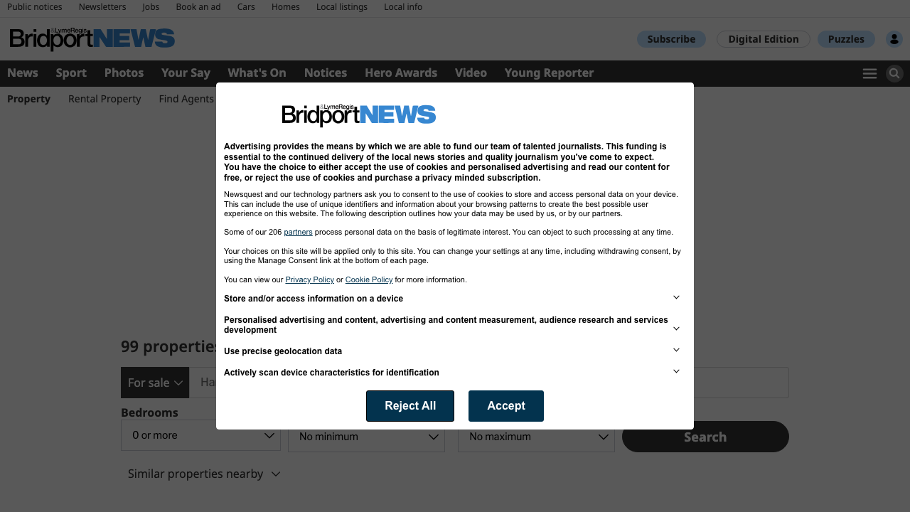 BRIDPORT PROPERTIES LIMITED website preview