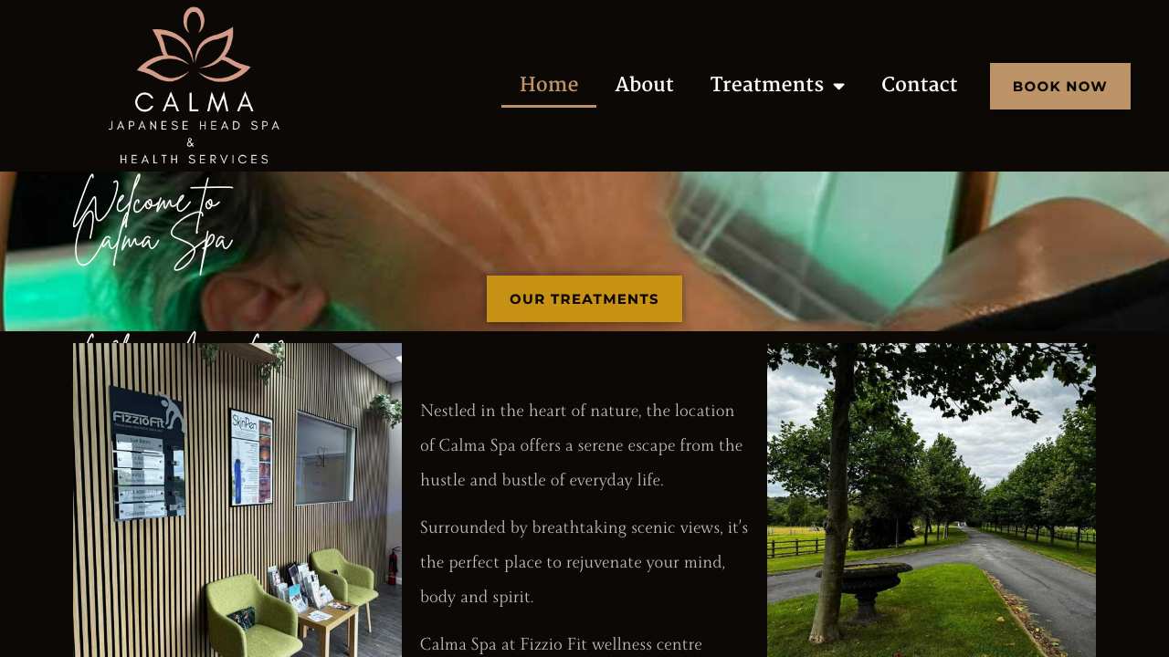 CALMA SPACES LIMITED website preview