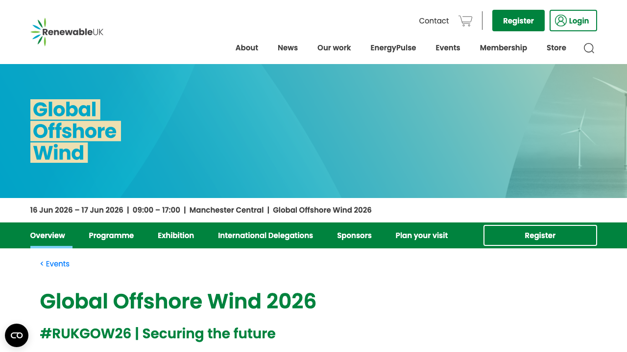 BIG IN WIND LTD website preview