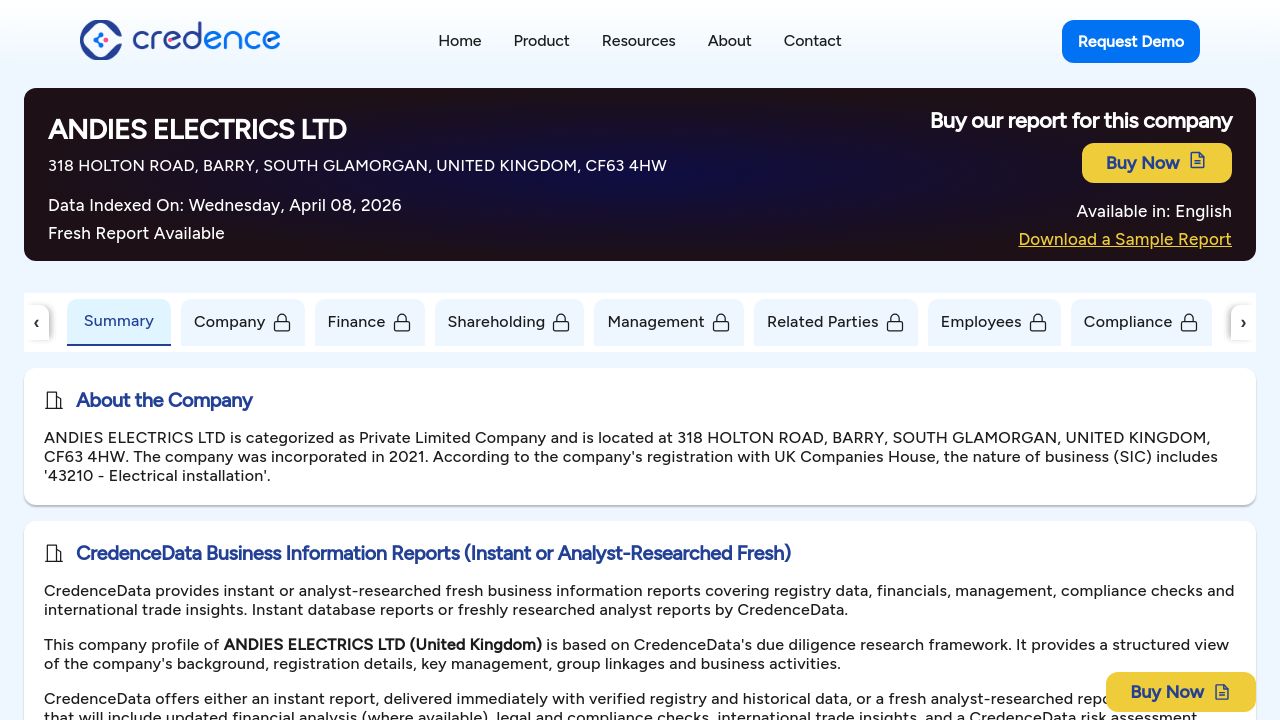 ANDIES ELECTRICS LTD website preview