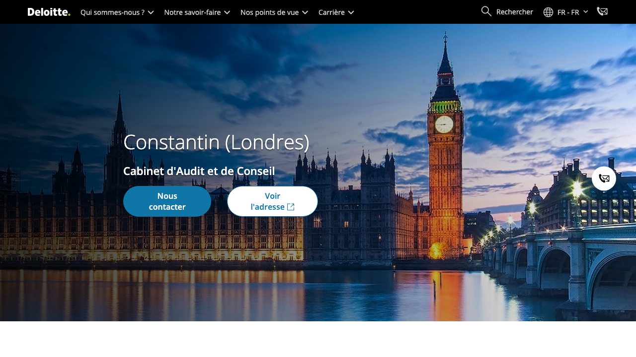 BY CONSTANTIN LTD website preview