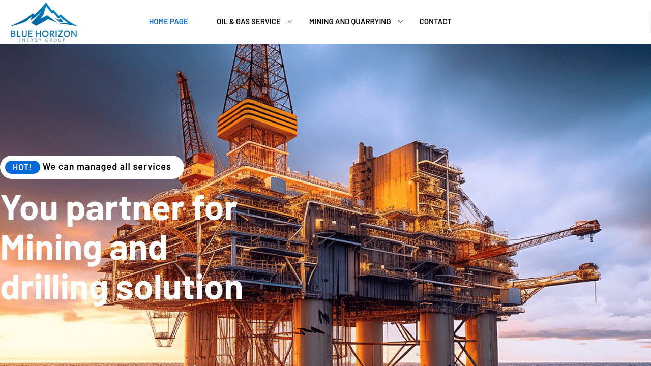 BLUE HORIZON ENERGY GROUP LTD. website preview