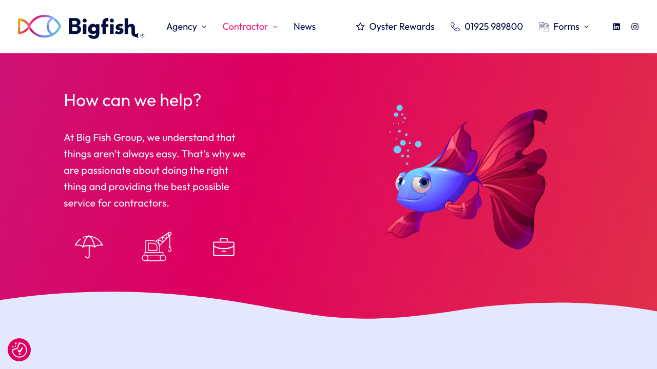BIG FISH CONTRACTORS LIMITED website preview