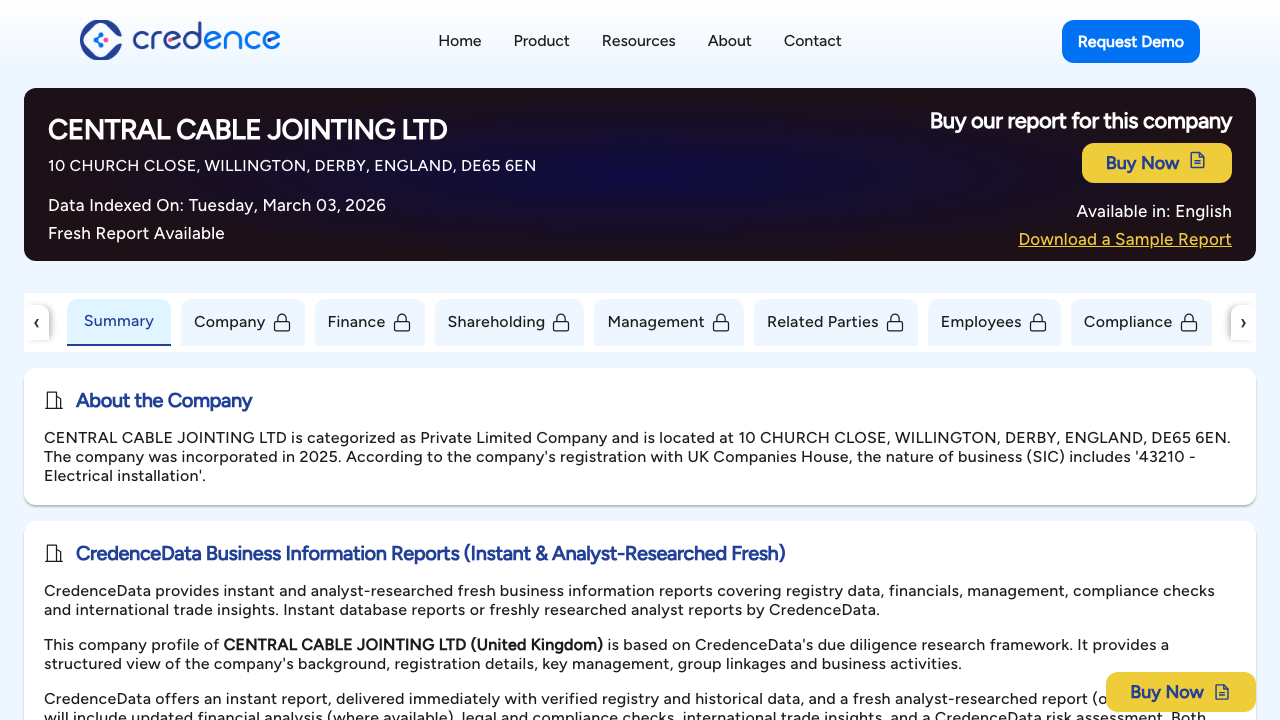 CENTRAL CABLE JOINTING LTD website preview
