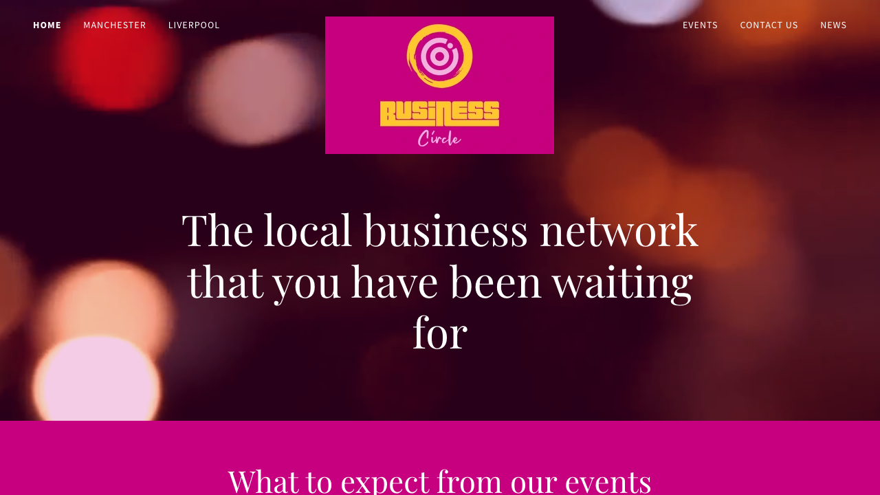 BIZ CIRCLE LTD website preview