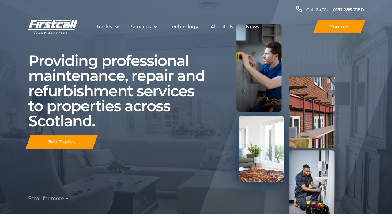 1ST TRADE SERVICES LTD website preview