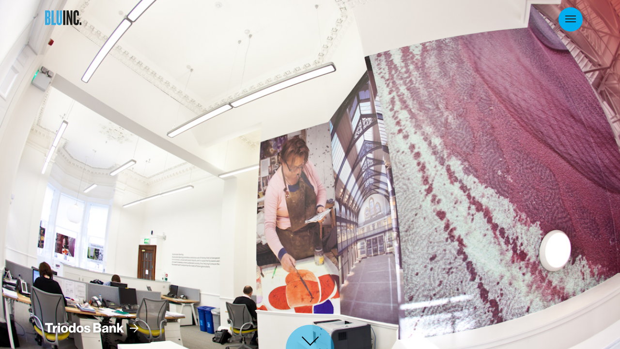 BLU INC. GRAPHICS LTD. website preview