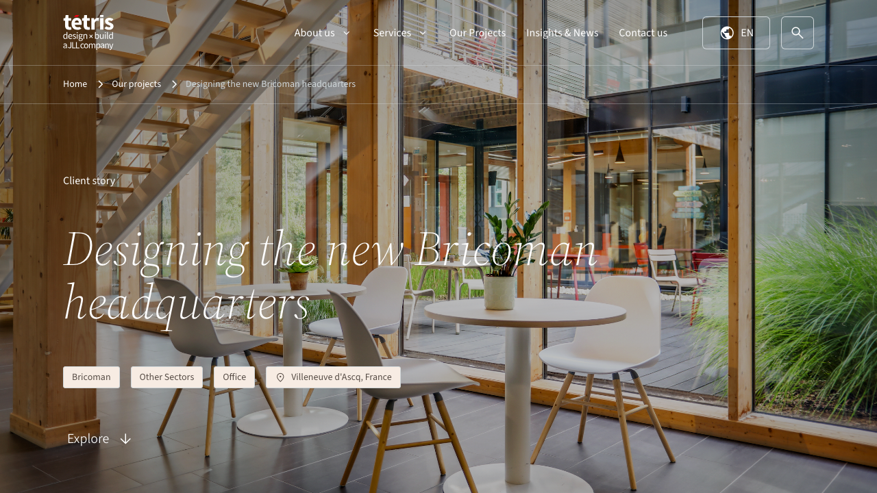 BRICOMAN LTD website preview