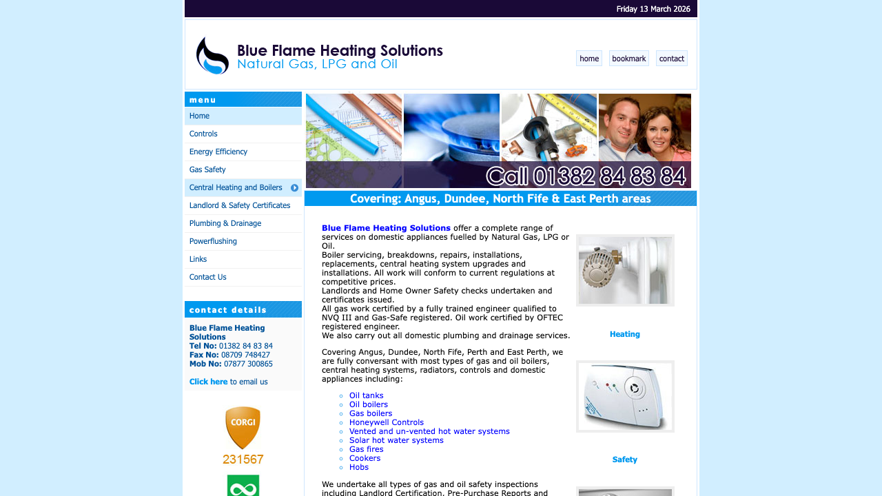BLUE FLAME HEATING SOLUTIONS LIMITED website preview
