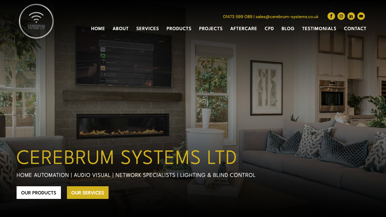 CEREBRUM SYSTEMS LTD website preview