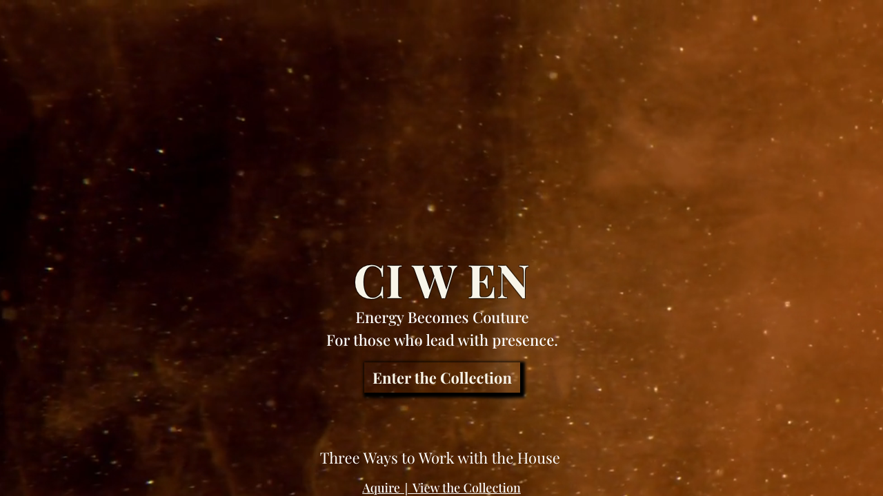 CI W EN LIMITED website preview