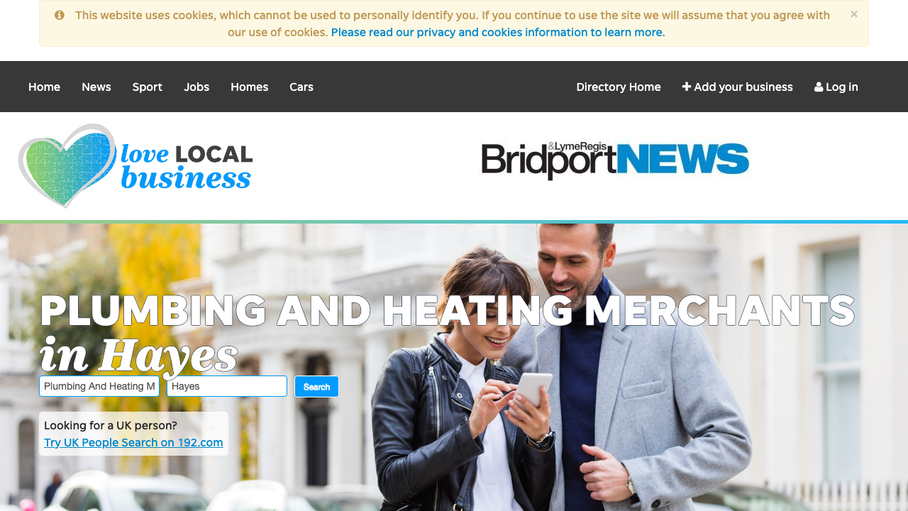 BISO'S PLUMBING AND HEATING LTD website preview