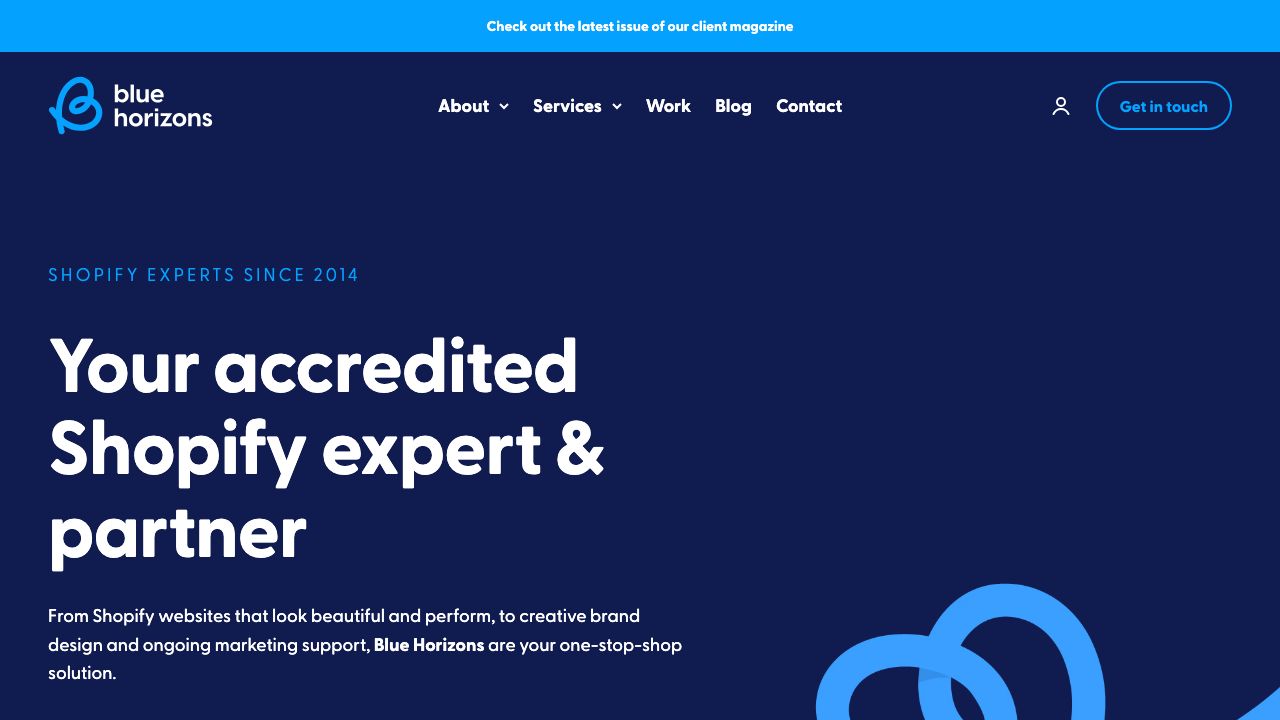 BLUE HORIZONS LIMITED website preview