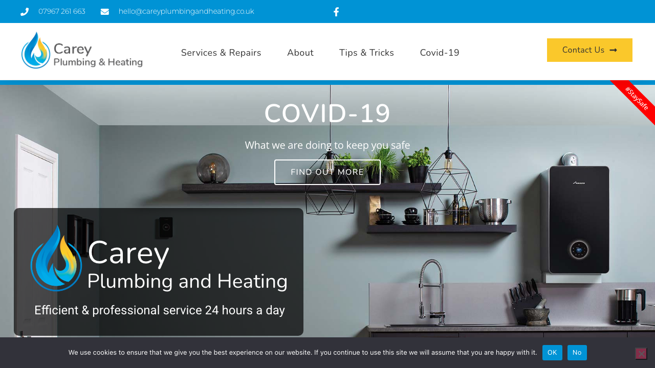 CAREY PLUMBING AND HEATING LTD website preview