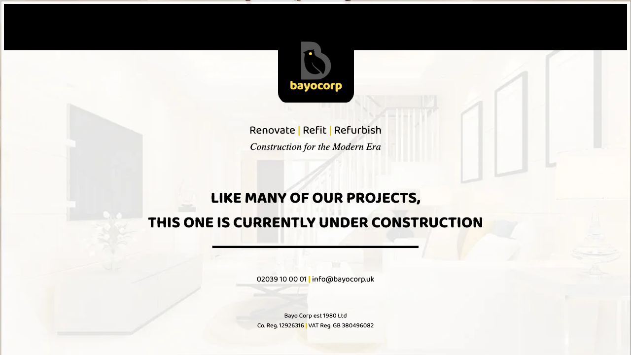 BAYO CORP EST 1980 LTD website preview