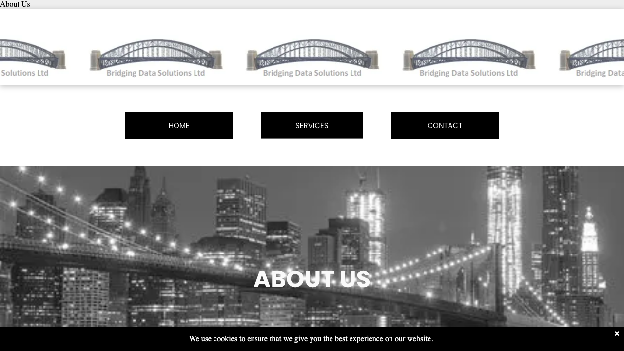 BRIDGING DATA SOLUTIONS LTD website preview
