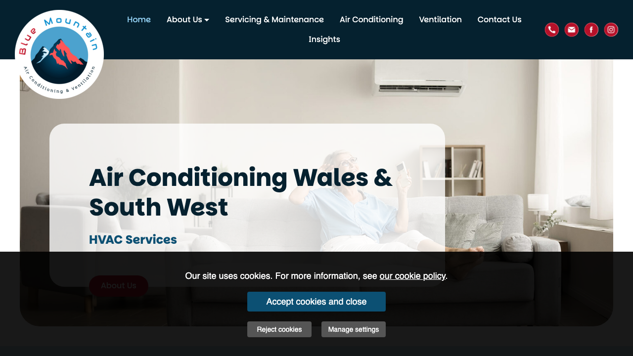 BLUE MOUNTAIN AIR CONDITIONING LTD website preview