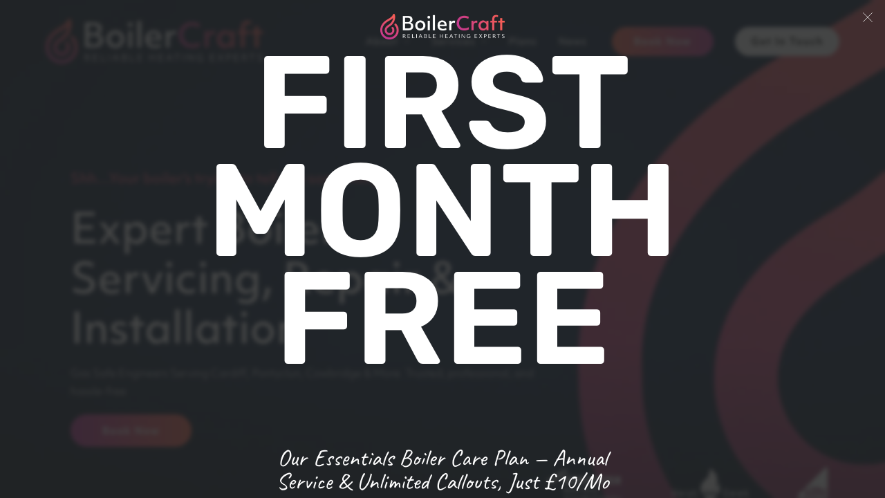 BOILERCRAFT LTD website preview