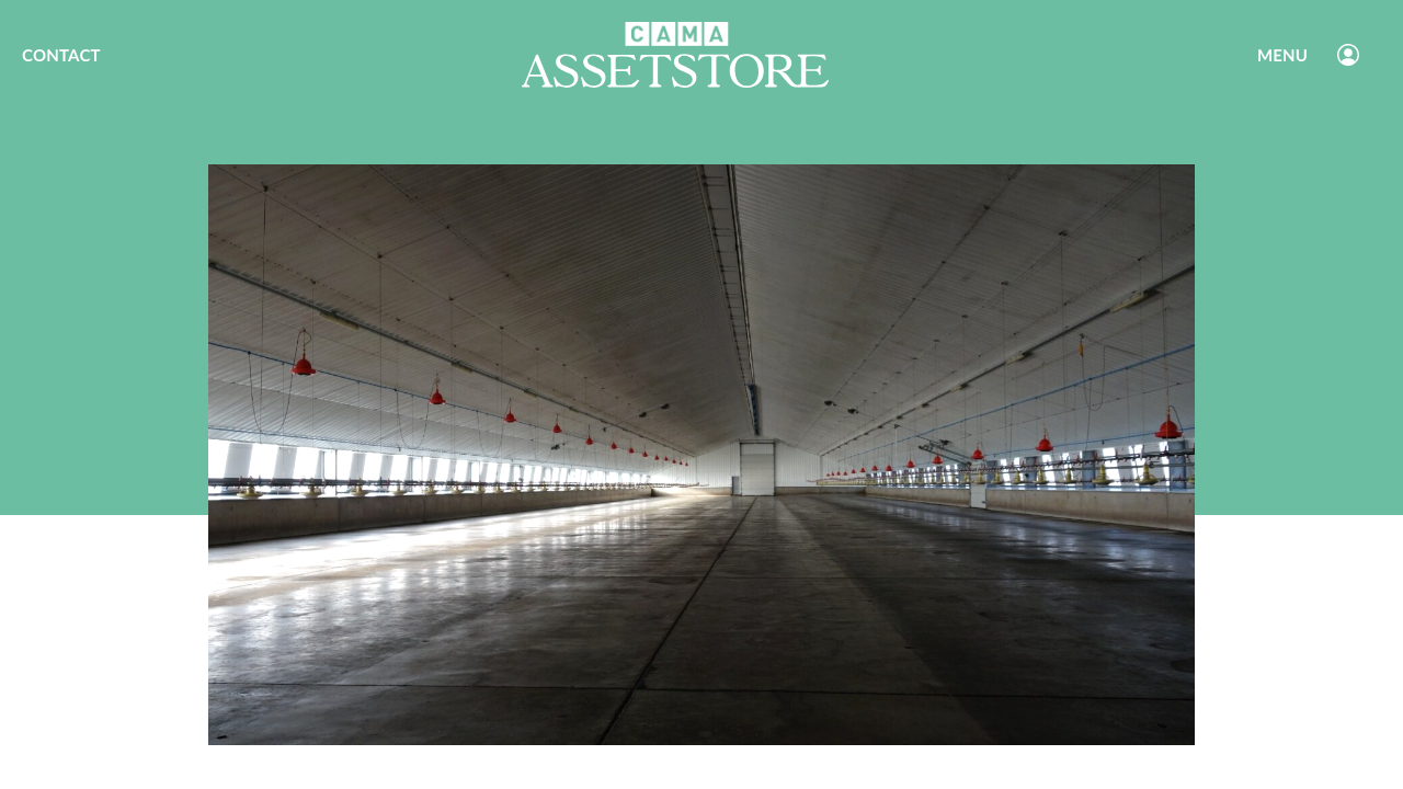 CAMACE LTD website preview