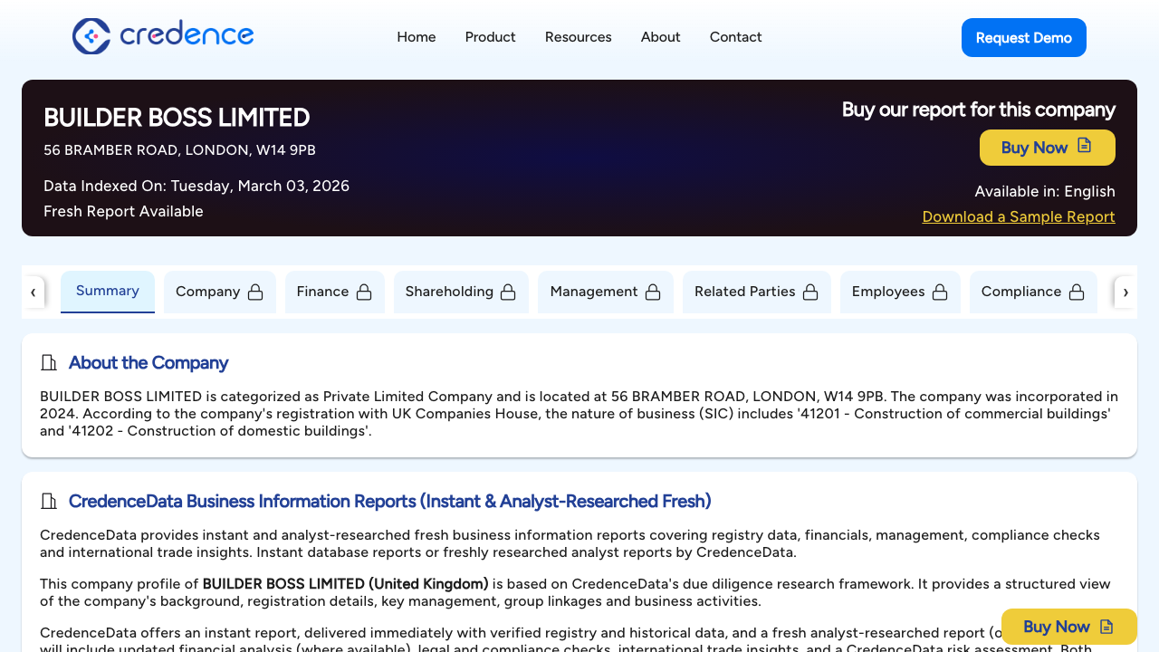 BUILDER BOSS LIMITED website preview