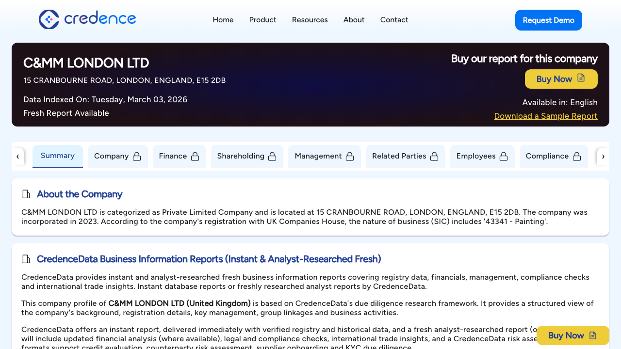 C&MM LTD website preview