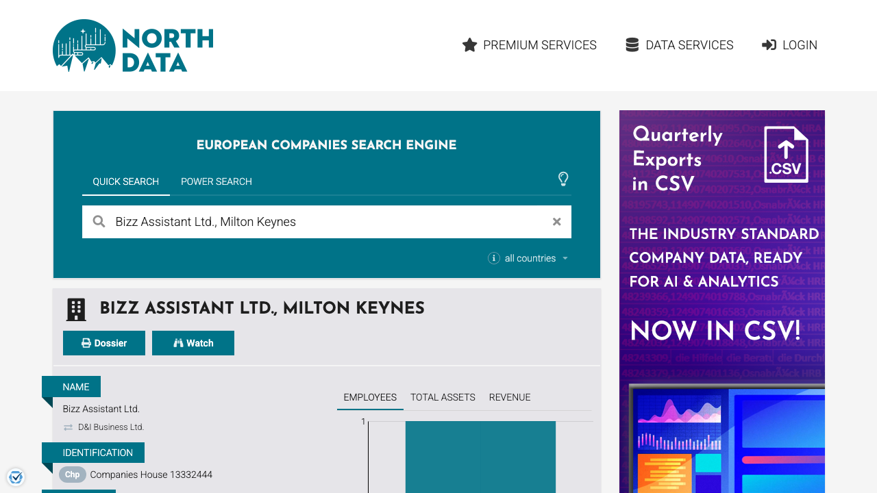 BIZZ ASSISTANT LTD website preview