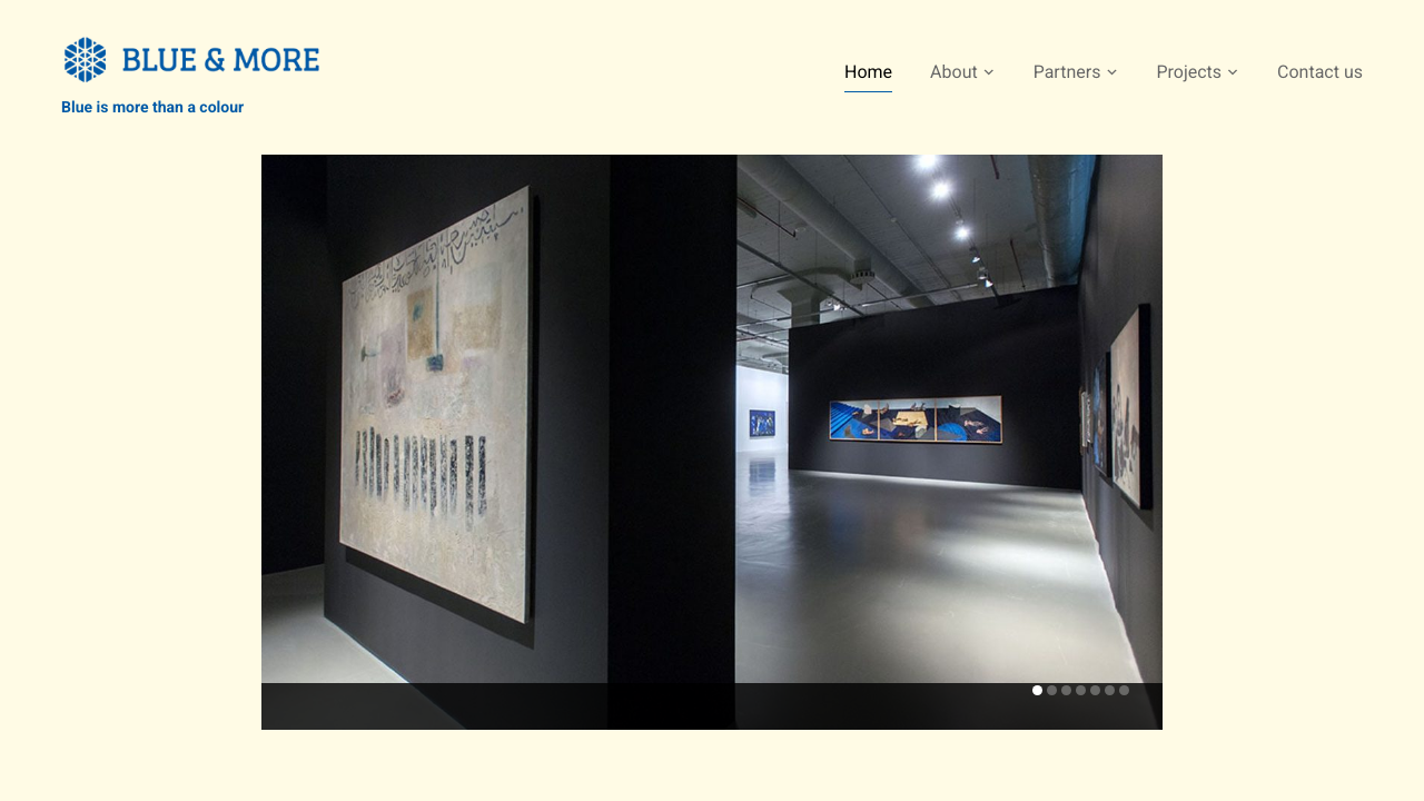 BLUE & MORE LTD website preview