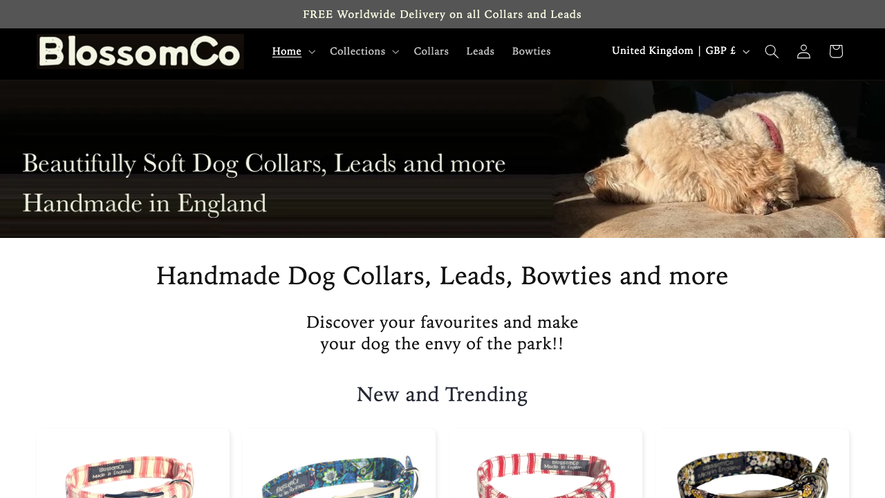 BLOSSOM&CO LTD website preview