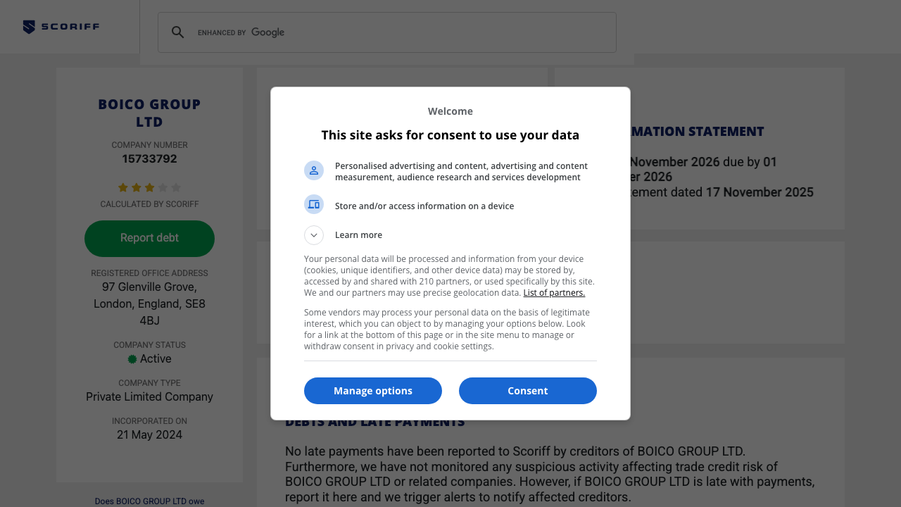 BOICO GROUP LTD website preview