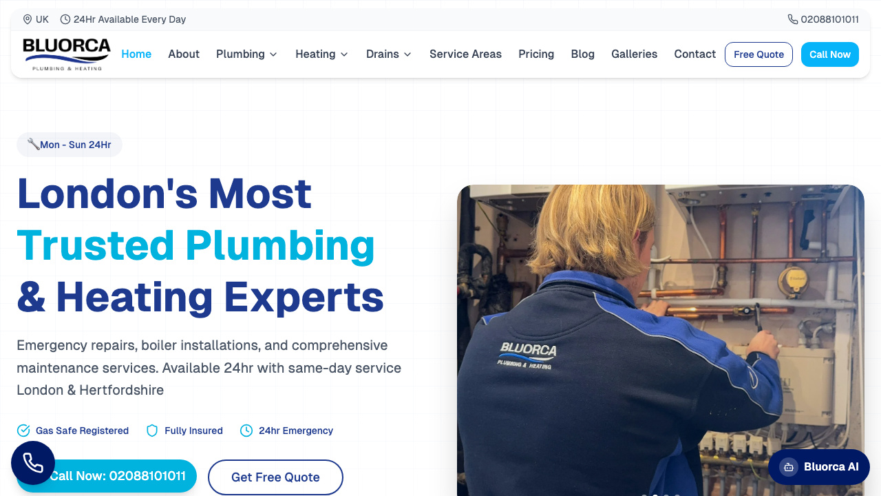 BLUE ORCA PLUMBING AND HEATING LIMITED website preview