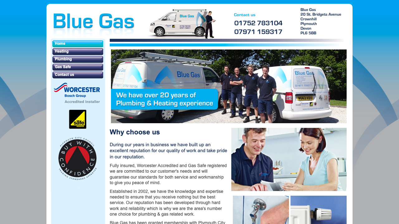 BLUE GAS HEATING LTD website preview