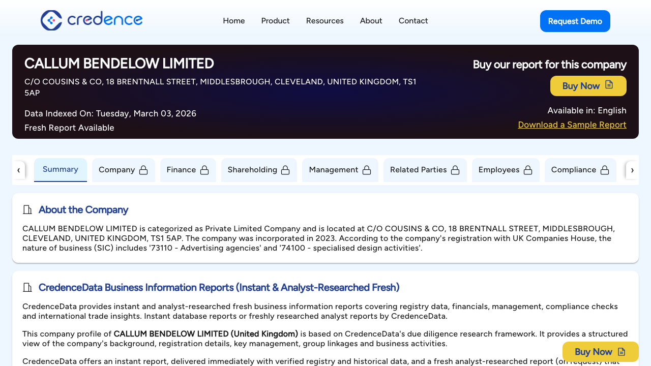 CALLUM BENDELOW LIMITED website preview