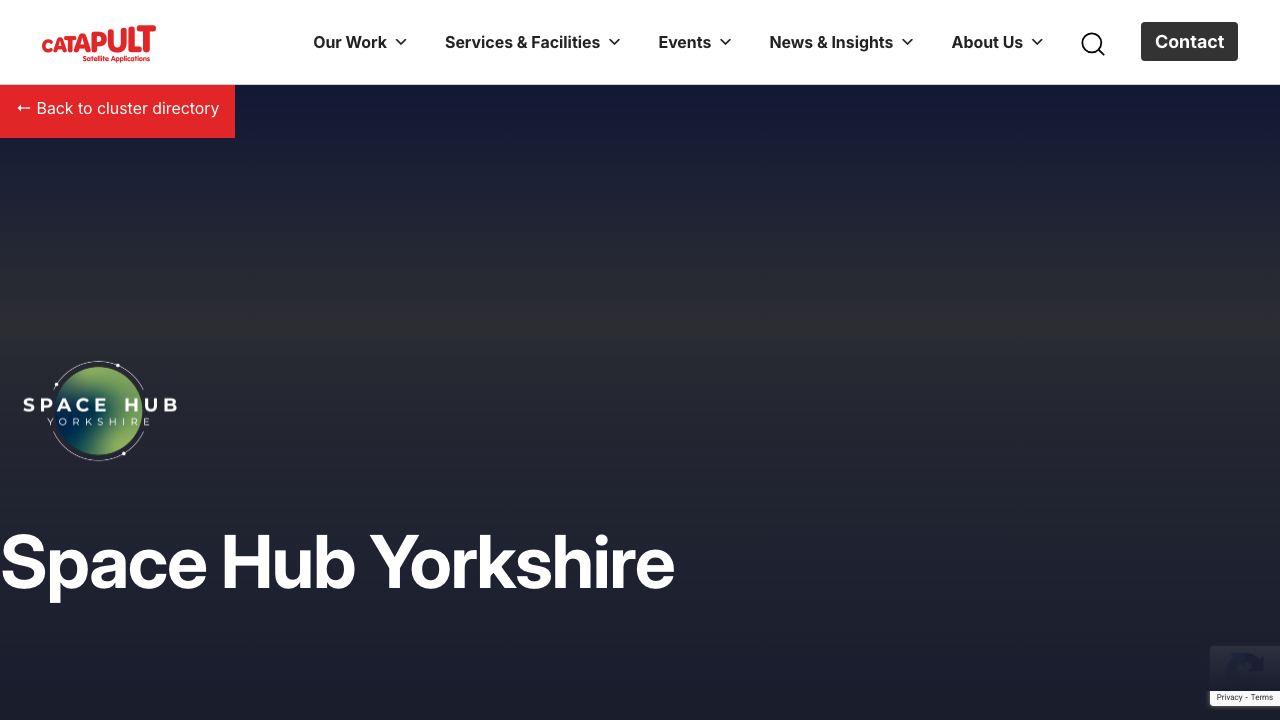 CATAPOLT LIMITED website preview