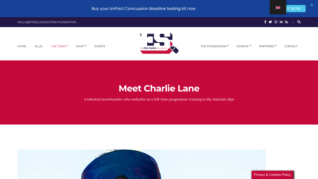 CHARLIE LANE (SNOWBOARDING) LTD website preview