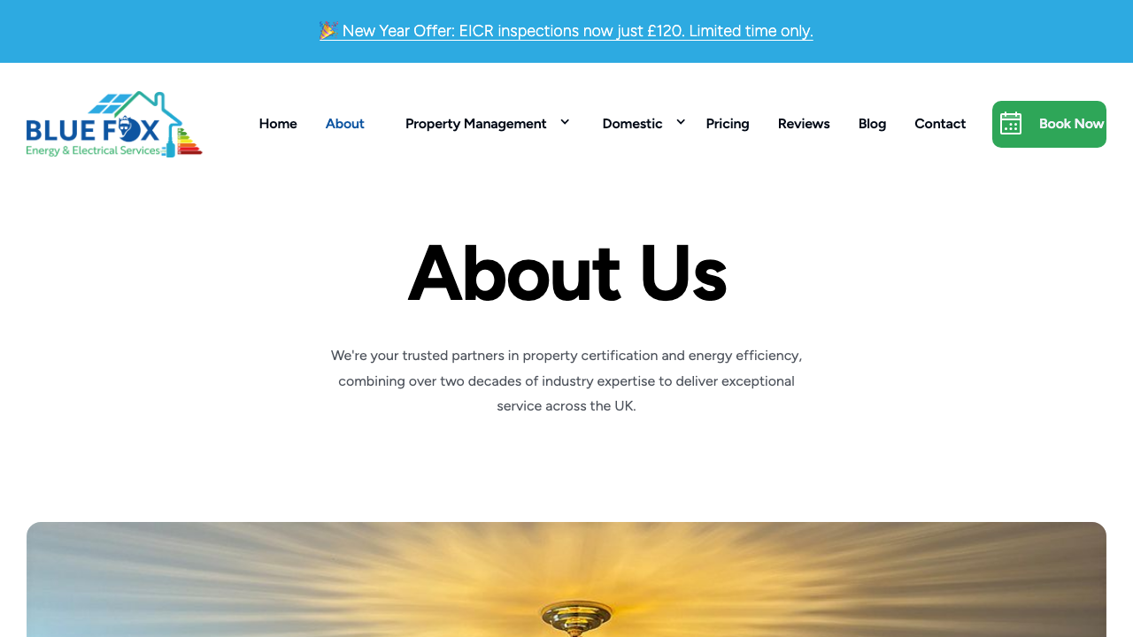BLUE FOX ELECTRICAL LTD website preview