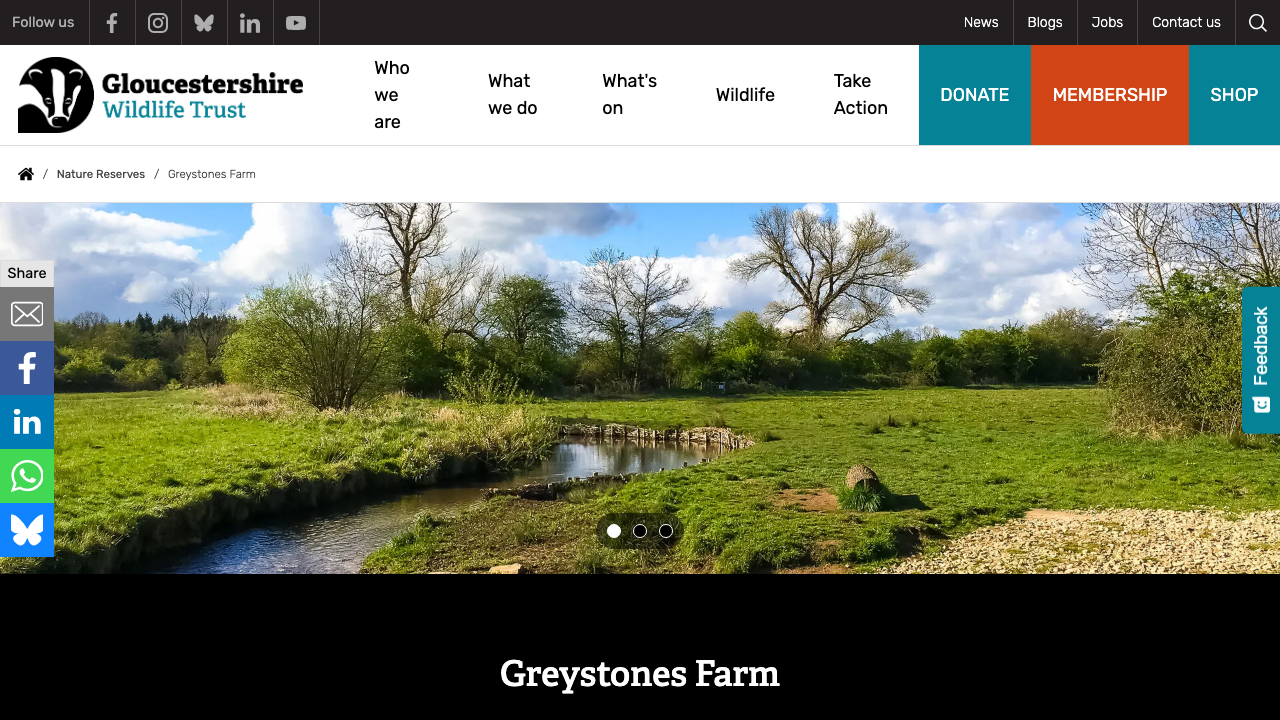 BROWN DOG WORKS LIMITED website preview