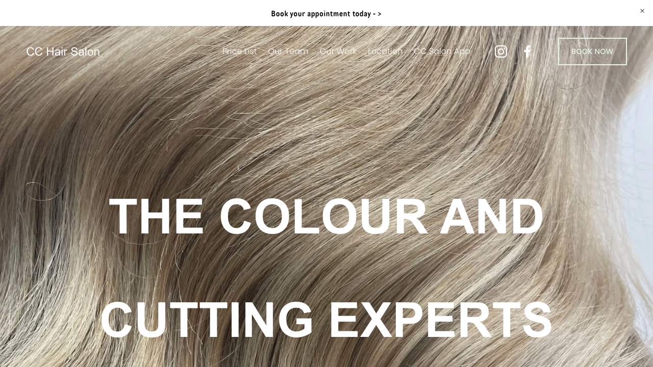 CC COLOURS LTD website preview