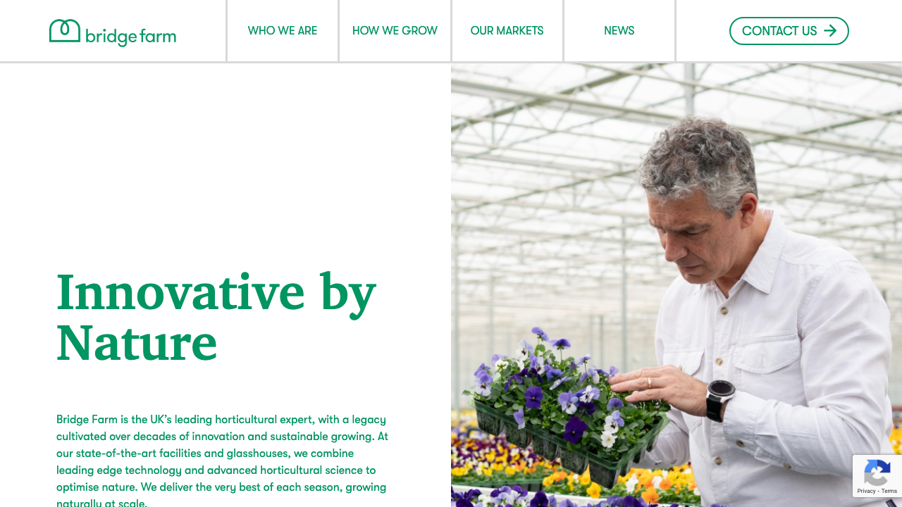 BRIDGE GREENHOUSES LIMITED website preview