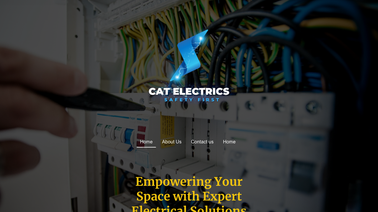 CAT ELECTRICS LTD website preview