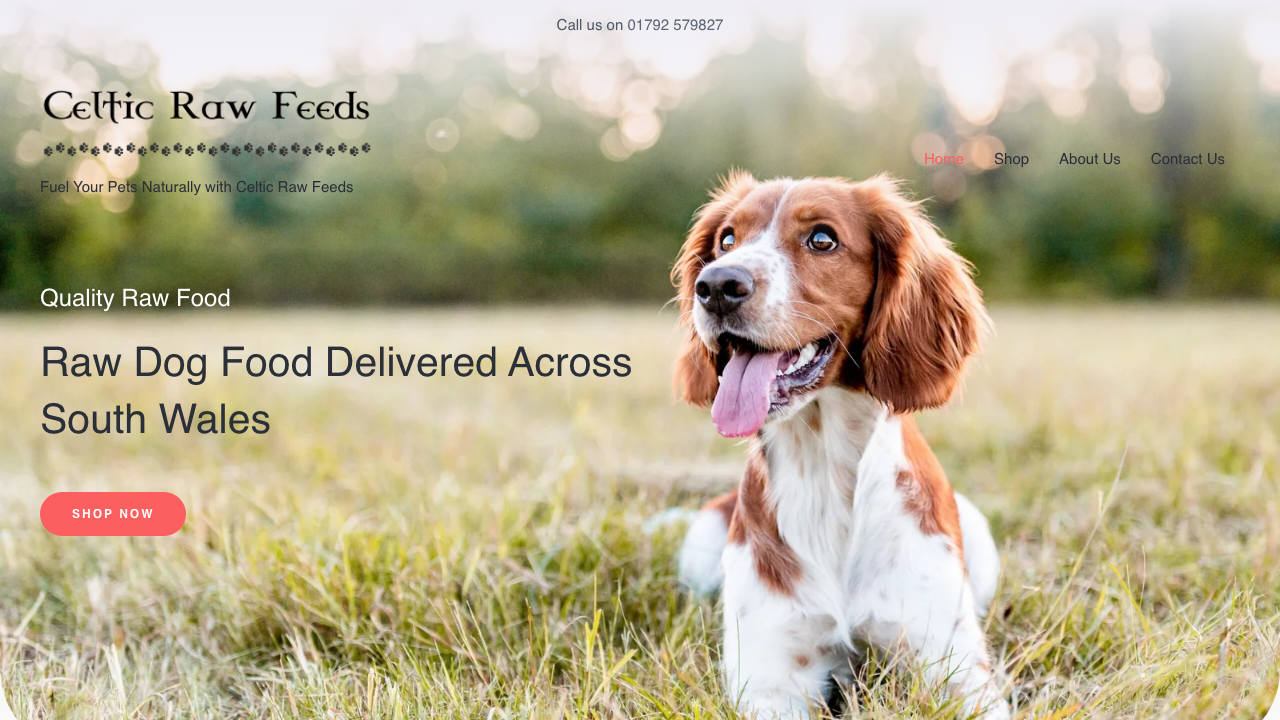 CELTIC RAW FEEDS LTD website preview