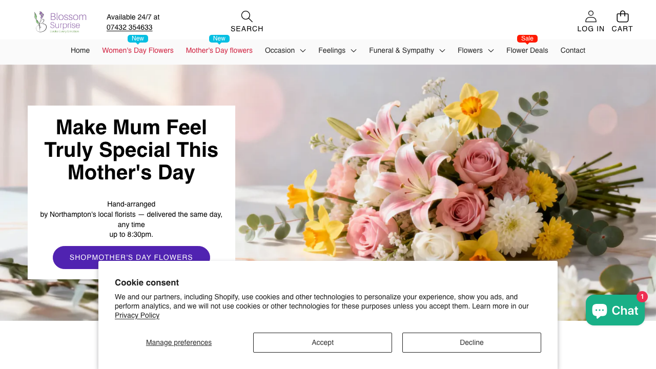BLOSSOM  SURPRISE LTD website preview
