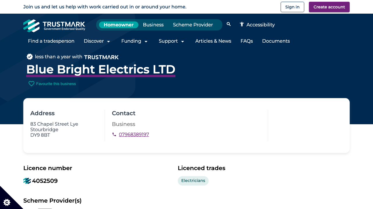 BLUE BRIGHT ELECTRICS LTD website preview