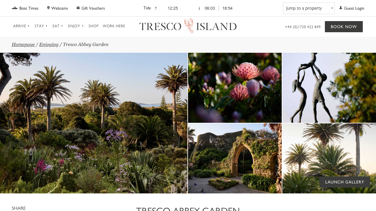 CALYN GARDENS LTD website preview