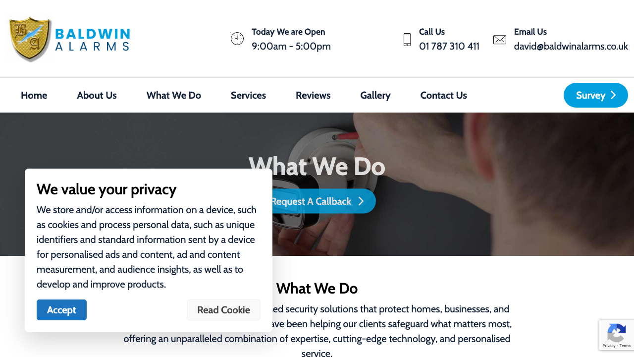 BALDWIN SECURITY SERVICES LIMITED website preview