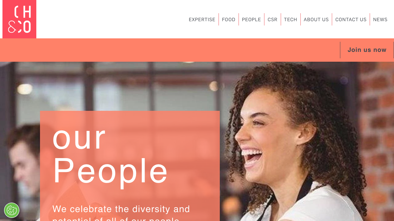 CHONCHO & CO SERVICES LIMITED website preview