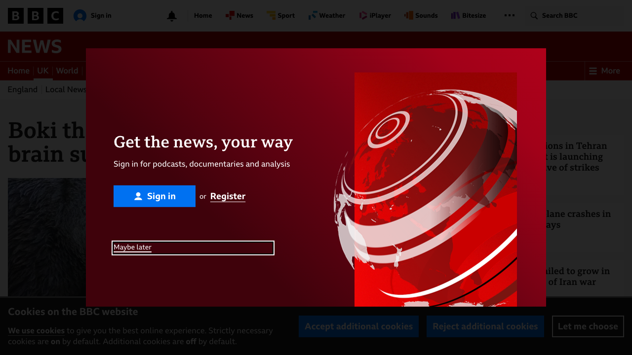 BOKKI LIMITED website preview