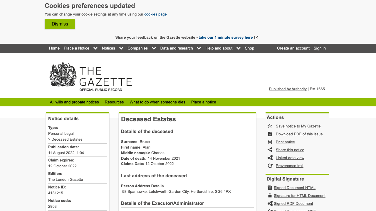 BRUCIE LTD website preview