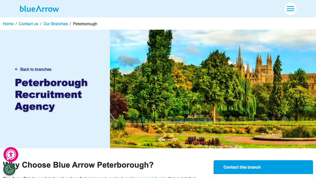 BLUE JOBS LTD website preview