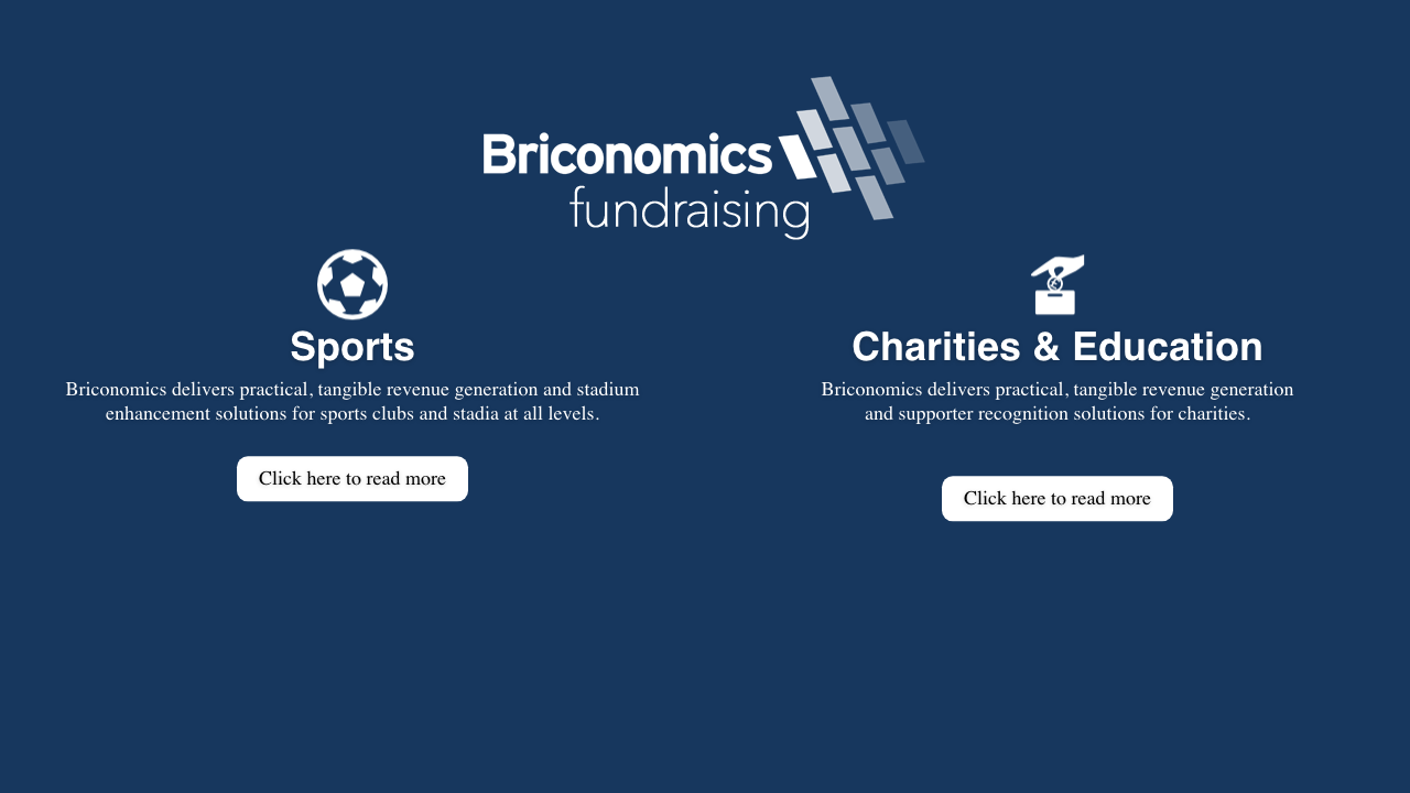 BRICONOMICS FUNDRAISING LIMITED website preview